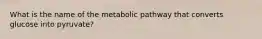 What is the name of the metabolic pathway that converts glucose into pyruvate?