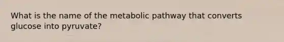 What is the name of the metabolic pathway that converts glucose into pyruvate?