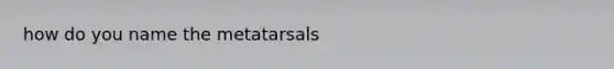 how do you name the metatarsals