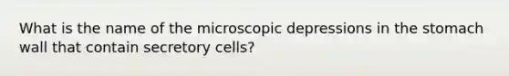 What is the name of the microscopic depressions in the stomach wall that contain secretory cells?