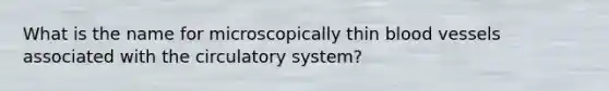 What is the name for microscopically thin blood vessels associated with the circulatory system?