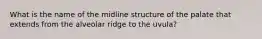 What is the name of the midline structure of the palate that extends from the alveolar ridge to the uvula?