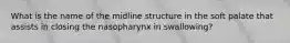 What is the name of the midline structure in the soft palate that assists in closing the nasopharynx in swallowing?