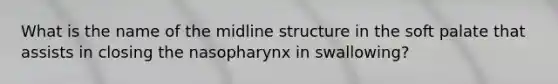 What is the name of the midline structure in the soft palate that assists in closing the nasopharynx in swallowing?