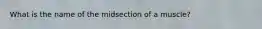 What is the name of the midsection of a muscle?
