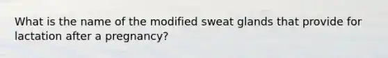 What is the name of the modified sweat glands that provide for lactation after a pregnancy?