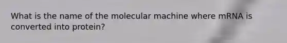 What is the name of the molecular machine where mRNA is converted into protein?