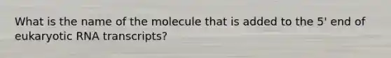 What is the name of the molecule that is added to the 5' end of eukaryotic RNA transcripts?