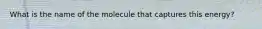 What is the name of the molecule that captures this energy?