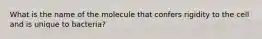 What is the name of the molecule that confers rigidity to the cell and is unique to bacteria?