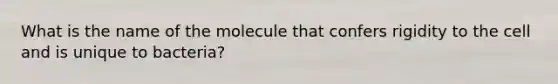 What is the name of the molecule that confers rigidity to the cell and is unique to bacteria?