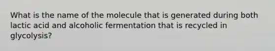 What is the name of the molecule that is generated during both lactic acid and alcoholic fermentation that is recycled in glycolysis?