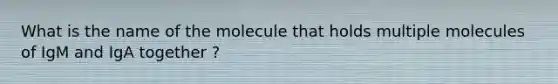 What is the name of the molecule that holds multiple molecules of IgM and IgA together ?