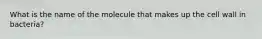 What is the name of the molecule that makes up the cell wall in bacteria?