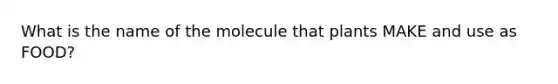 What is the name of the molecule that plants MAKE and use as FOOD?