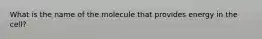 What is the name of the molecule that provides energy in the cell?