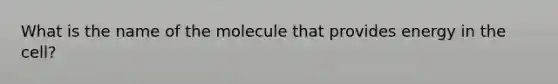 What is the name of the molecule that provides energy in the cell?