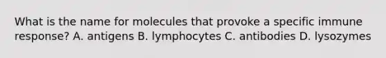 What is the name for molecules that provoke a specific immune response? A. antigens B. lymphocytes C. antibodies D. lysozymes