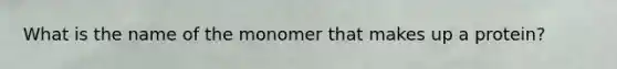 What is the name of the monomer that makes up a protein?