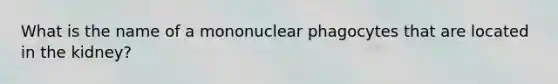 What is the name of a mononuclear phagocytes that are located in the kidney?