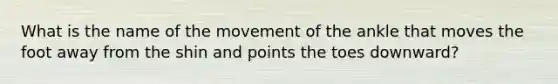 What is the name of the movement of the ankle that moves the foot away from the shin and points the toes downward?