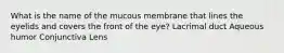 What is the name of the mucous membrane that lines the eyelids and covers the front of the eye? Lacrimal duct Aqueous humor Conjunctiva Lens