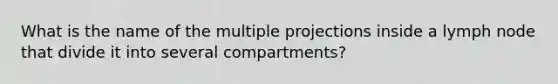 What is the name of the multiple projections inside a lymph node that divide it into several compartments?