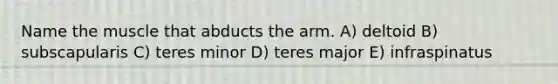 Name the muscle that abducts the arm. A) deltoid B) subscapularis C) teres minor D) teres major E) infraspinatus