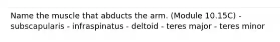 Name the muscle that abducts the arm. (Module 10.15C) - subscapularis - infraspinatus - deltoid - teres major - teres minor