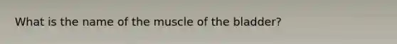 What is the name of the muscle of the bladder?