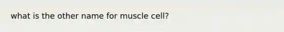 what is the other name for muscle cell?