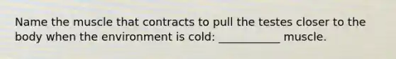 Name the muscle that contracts to pull the testes closer to the body when the environment is cold: ___________ muscle.