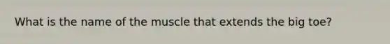 What is the name of the muscle that extends the big toe?