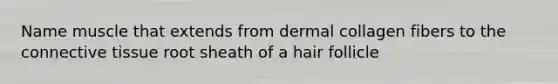 Name muscle that extends from dermal collagen fibers to the connective tissue root sheath of a hair follicle