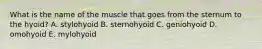 What is the name of the muscle that goes from the sternum to the hyoid? A. stylohyoid B. sternohyoid C. geniohyoid D. omohyoid E. mylohyoid