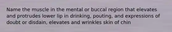 Name the muscle in the mental or buccal region that elevates and protrudes lower lip in drinking, pouting, and expressions of doubt or disdain, elevates and wrinkles skin of chin