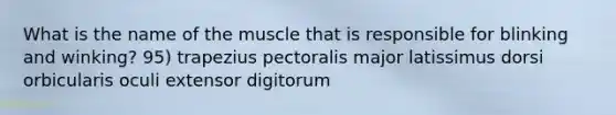 What is the name of the muscle that is responsible for blinking and winking? 95) trapezius pectoralis major latissimus dorsi orbicularis oculi extensor digitorum