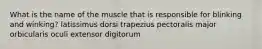 What is the name of the muscle that is responsible for blinking and winking? latissimus dorsi trapezius pectoralis major orbicularis oculi extensor digitorum