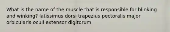 What is the name of the muscle that is responsible for blinking and winking? latissimus dorsi trapezius pectoralis major orbicularis oculi extensor digitorum