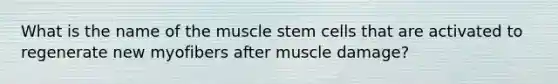 What is the name of the muscle stem cells that are activated to regenerate new myofibers after muscle damage?