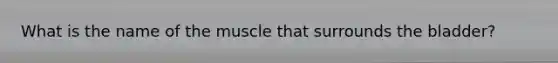 What is the name of the muscle that surrounds the bladder?