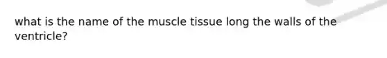 what is the name of the muscle tissue long the walls of the ventricle?