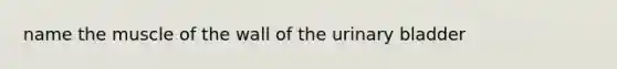 name the muscle of the wall of the urinary bladder