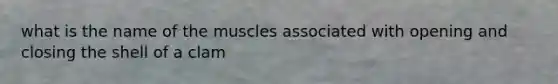 what is the name of the muscles associated with opening and closing the shell of a clam