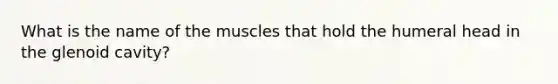 What is the name of the muscles that hold the humeral head in the glenoid cavity?