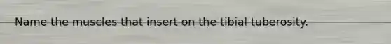 Name the muscles that insert on the tibial tuberosity.
