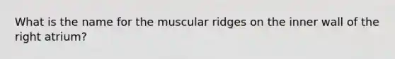 What is the name for the muscular ridges on the inner wall of the right atrium?