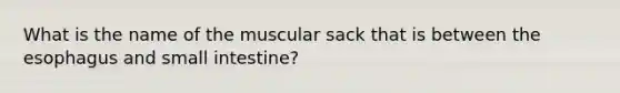 What is the name of the muscular sack that is between the esophagus and small intestine?