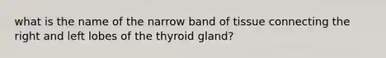 what is the name of the narrow band of tissue connecting the right and left lobes of the thyroid gland?