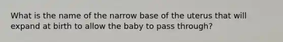 What is the name of the narrow base of the uterus that will expand at birth to allow the baby to pass through?